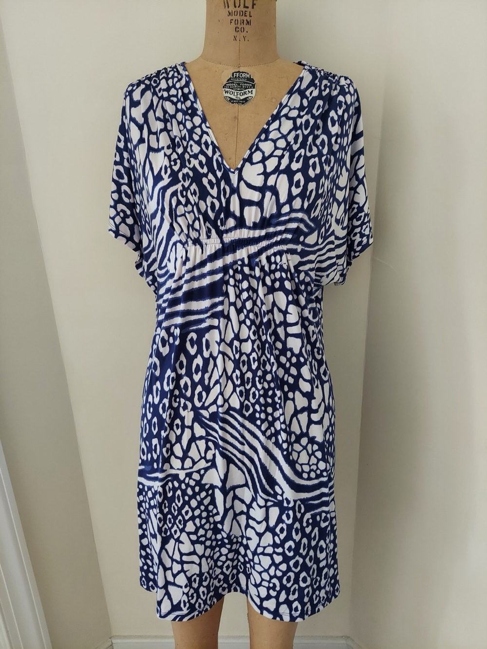 Anne Klein Blue & White Printed Dress